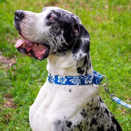 Country Brook Petz - Royal Blue Hawaiian Everyday Dog Leash - Summer Breeze Collection Featuring Sunny Designs (4 Foot, 3/8 Inch Wide)