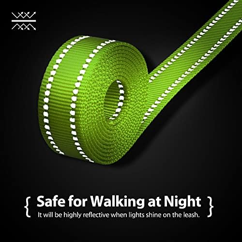 PHOEPET 5 Feet Dog Leash with Comfortable Padded Handle Easy Snap Clasp