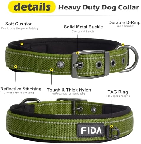 Fida Padded Dog Collar for Small Dogs with Metal Belt Buckle, Green