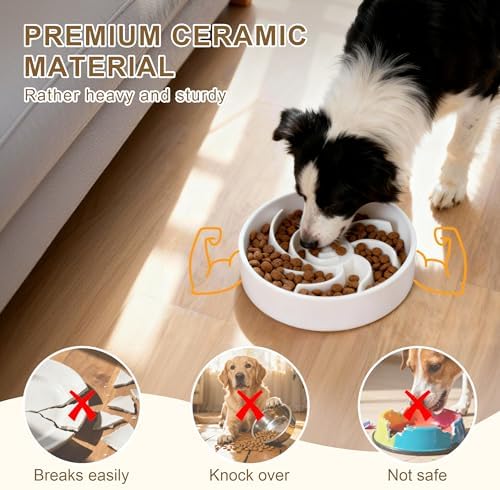 Ceramic Slow Feeder Dog Bowl, 3 Cup Dog Food or 25oz Water, Slow Eating Bowl for Middle Breed, Maze Puzzle Feeder for Fast Eaters, Anti-Choking Stop Bloat, Non-Slip BPA Free (White)