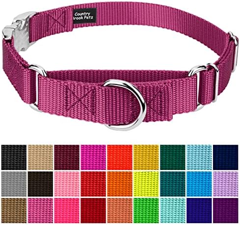 Country Brook Petz - Martingale Dog Collar - Heavy Duty Nylon Adjustable Martingale Dog Collar with Metal Buckle for Small Medium Large Breeds - 30+ Color Options (1 Inch, Large, Rose)