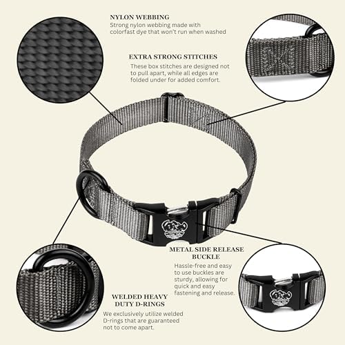 Country Brook Petz - Premium Nylon Dog Collar with Metal Buckle for Small Medium Large Breeds - 30+ Colors (Small, 3/4 Inch, Charcoal)