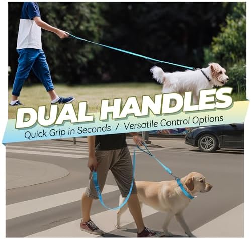 VIVAGLORY Double Handle Dog Leash Twingrip, 4ft x 1in, Blue