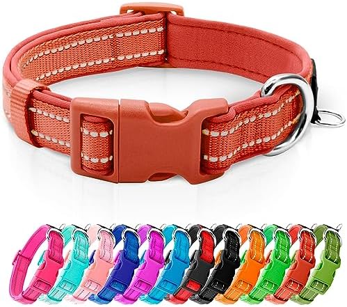 azuza Reflective Dog Collar, Neoprene Padded Small Dog Collar, Rust Red, S
