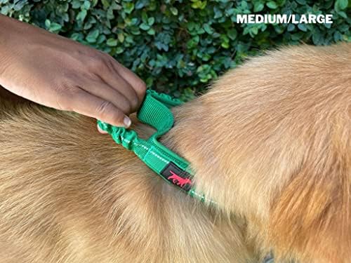 Tuff Pupper Heavy Duty Dog Collar with Handle | Ballistic Nylon Heavy Duty Collar | Padded Reflective Dog Collar with Adjustable Stainless Steel Hardware | Convenient Sizing for All Breeds