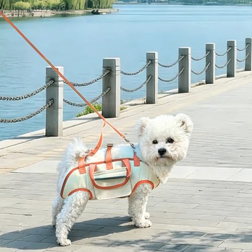 YAODHAOD Hands Free Dog Backpack Carrier for Small Dogs, Breathable Pet Carrier with Adjustable Straps,Portable Shoulder Carrier Sling Backpack for Hiking, Camping, Walking, Cycling (Orange, M)