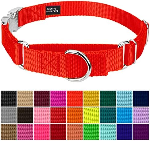 Country Brook Petz - Martingale Dog Collar - Heavy Duty Nylon Adjustable Martingale Dog Collar with Metal Buckle for Small Medium Large Breeds - 30+ Color Options (1 Inch, Extra Large, Hot Orange)