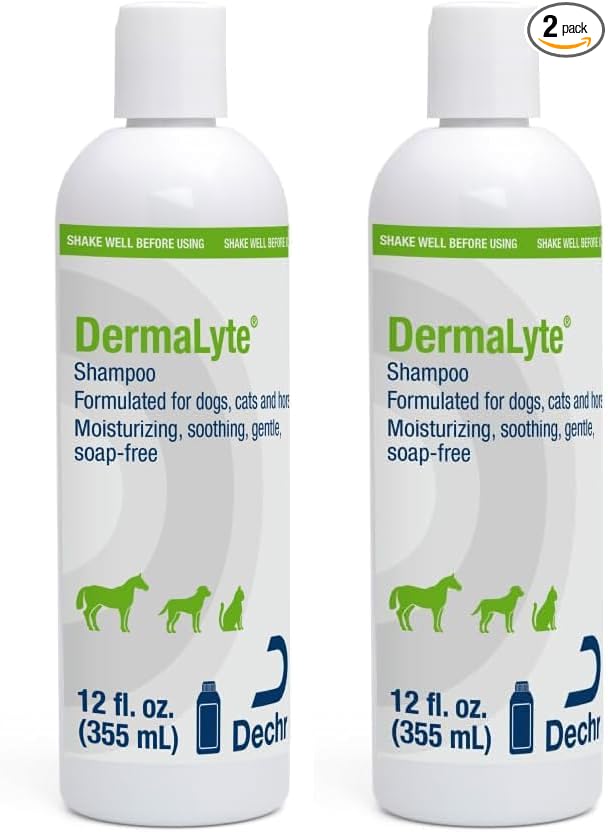 Shampoo, 12 Ounce (Pack of 2)