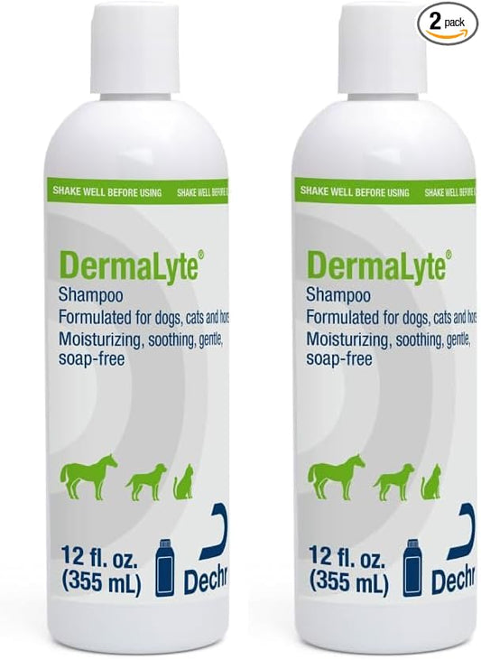 Shampoo, 12 Ounce (Pack of 2)