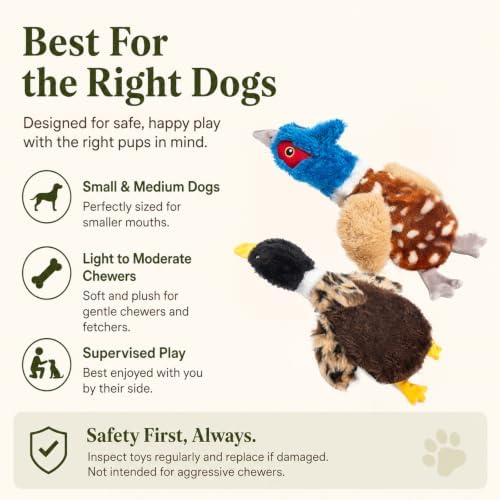 Duck Dog Toys, 2-Pack Stuffing-Free Squeaky Plush Bird Toys with 8 Total Squeakers, Hollow Body No-Stuffing Design for Small Medium Dogs