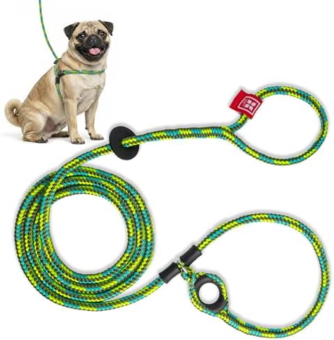 Harness Lead No Pull Dog Harness and Leash Set, Anti Pull Dog Harness, One-Piece Cushioned Rope Safely Prevents Escaping and Pulling (Small/Medium, Rainforest)
