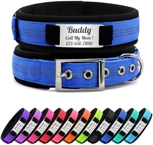 Personalized Nylon Dog Collar with Name Tag (Royal Blue, XL)