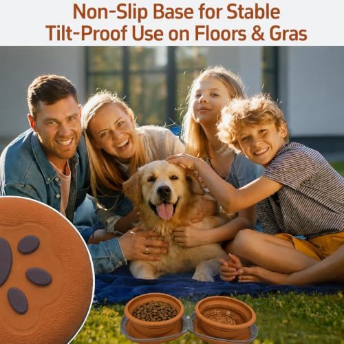 2-in-1 Collapsible Dog Travel Bowl Portable Silicone Carabiner
