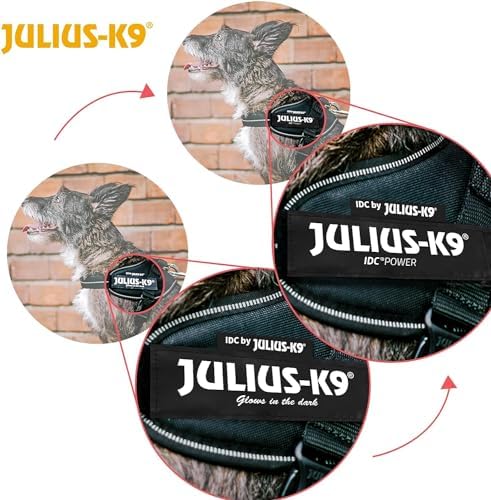 Julius-K9, 16IDC-P-MM, IDC Powerharness, Dog Harness, Size: Mini-Mini, Black