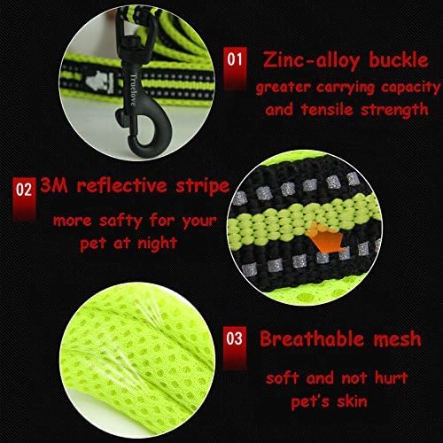 Creation Core Reflective Dog Leash Durable Padded Pet Leash Strap for Puppy Pet Leash Rope, Orange 6.5Ft Long 1" Wide