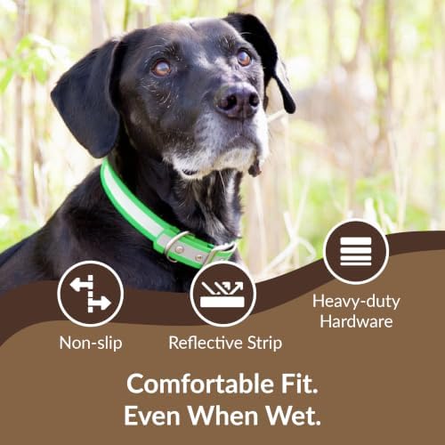 dogIDs Personalized Reflective Waterproof Dog Collar - Custom, Durable, Adjustable, Odor Resistant, Safe, Engraved - Green, 1 in x 22 in (Fits Neck Sizes: 20-24 in)