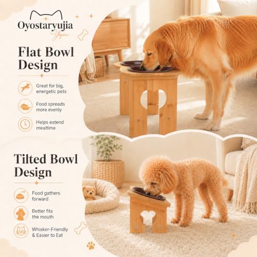Bone Elevated 6.1" Ceramic Small Dog Bowls, Tilted Dog Bowl Stand