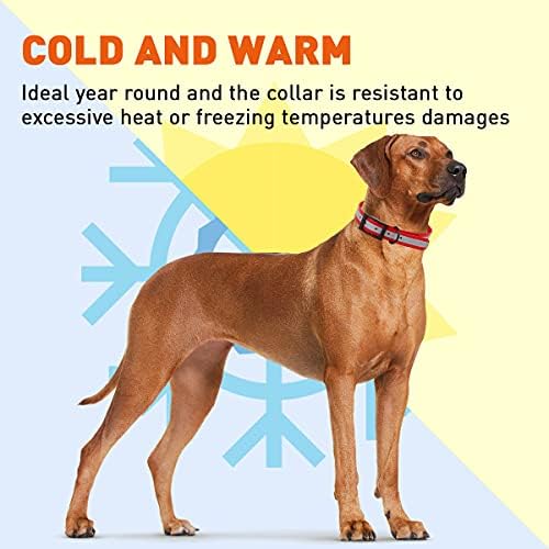 Dogline Biothane Translucent Reflective Waterproof Dog Collar Strong Coated Nylon Webbing with Black Hardware Odor- Proof for Easy Care Clean Fits Small Medium or Large Dogs - Red 1" W x 18"-22" L