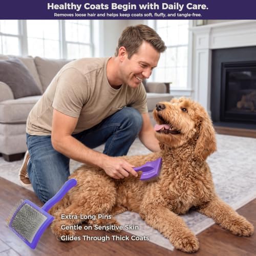 5PCS Dog Grooming Kit with Long Pin Slicker Brush for Dogs, Violet