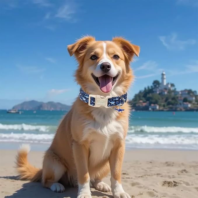 Blue Shark Dog Collar, Cute Boy Dog Collars for Puppy Small Dogs - Summer Ocean Pattern Female Male Dogs Collar, Durable Adjustable Pet Cartoon Collars with Quick Release Buckle XS