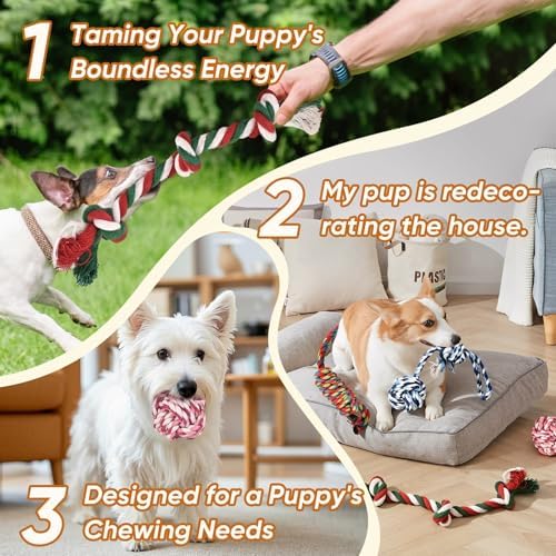 Dog Rope Toys 7 Pack - Puppy Teething Toys for Small/Medium Dogs - Durable Dog Chew Toys for Aggressive Chewers - Interactive Tug of War Toys for Boredom & Teeth Cleaning