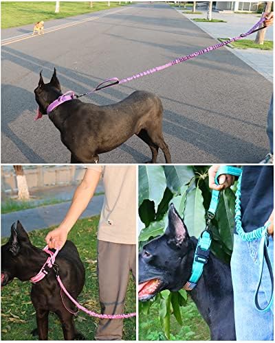 AUBELL Reflective Tactical Heavy Duty Dog Leash and Collar Set,Purple XL