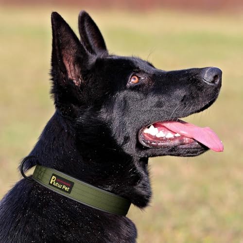 Plutus Pet Tactical Dog Collar, Reflective, for Small Medium Large Dogs