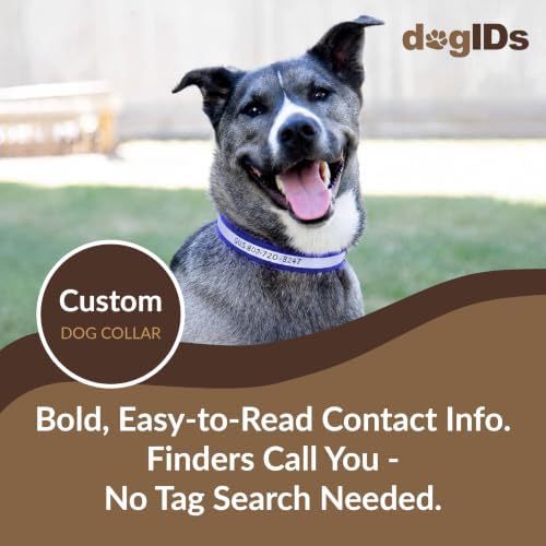 dogIDs Personalized Reflective Waterproof Dog Collar - Custom, Durable, Adjustable, Odor Resistant, Safe, Engraved - Blue, 1 in x 22 in (Fits Neck Sizes: 20-24 in)