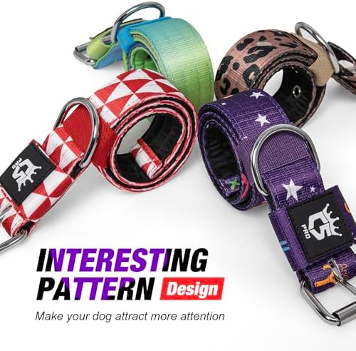 TSPRO Heavy Duty Thick Dog Collar with Metal Buckle for Small Dogs