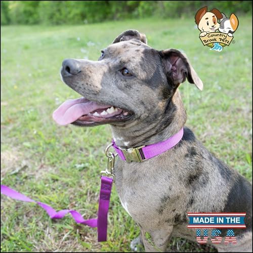 Country Brook Petz - Premium Nylon Dog Collar with Metal Buckle for Small Medium Large Breeds - 30+ Colors (Small, 3/4 Inch, Bright Purple)