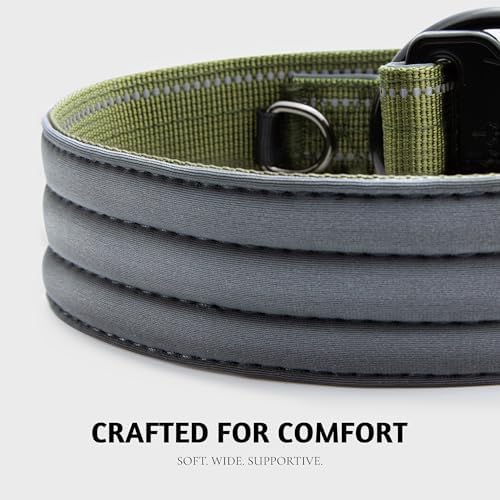 Tactical Dog Collar with Control Handle & AirTag Holder Black