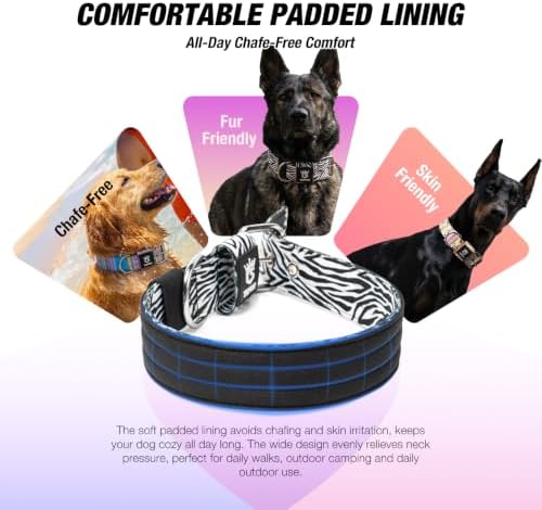 TSPRO Heavy Duty Thick Dog Collar with Metal Buckle for Medium Dogs