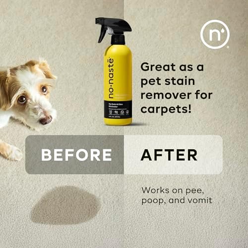 Nonaste Pet Stain & Odor Eliminator Enzyme Spray, Dog & Cat, 16 oz, Pk 1