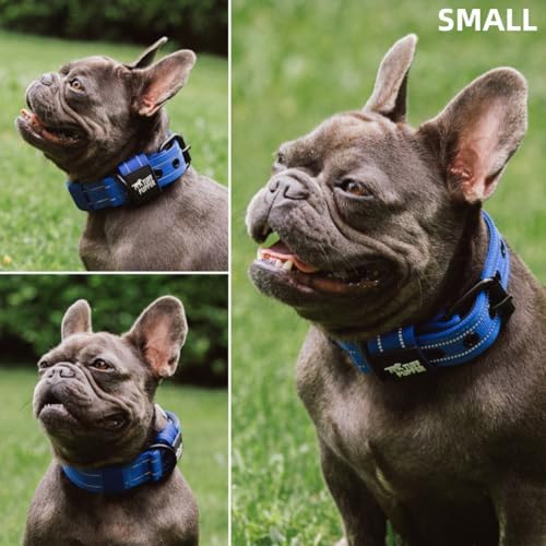 Tuff Pupper Heavy Duty Tactical Dog Collar | 1.25" Wide Ballistic Nylon | Reflective Stitching | Integrated ID Tag Holder | Stainless Steel Buckle | Padded Lining | Small & Medium Dogs (Blue, Small)