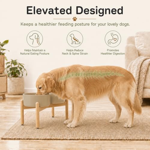 Havniva Ceramic Dog Bowls Elevated, Raised Dog Food Bowl for Small Dogs