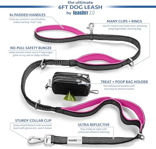 Heavy Duty Dog Leash for Large Dogs – 6FT Reflective Bungee with Padded Handles, Strong Carabiner Clip, No Pull Control for Medium & Large Breeds, Includes Poop Bag Holder & Treat Pouch (Purple)