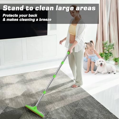 B-Land Carpet Rake for Pet Hair Removal, Green