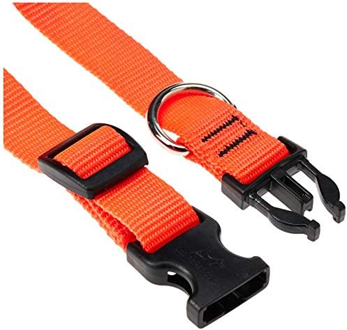 LupinePet Basics 3/4" Blaze Orange 15-25" Adjustable Collar for Large Dogs