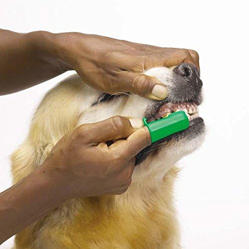 Top Performance ProDental Finger Brushes — Convenient Toothbrushes for Cleaning Pets' Teeth, 50-Pack