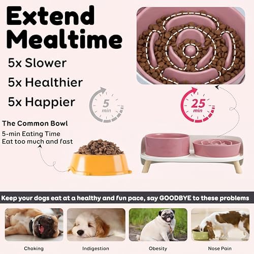 Elevated Slow Feeder Dog Bowls with Splash Proof Stand, Slow Eating 5X