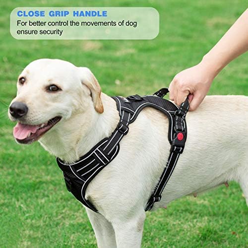 tobeDRI No Pull Dog Harness Adjustable Reflective Oxford Easy Control Medium Large Dog Harness with A Free Heavy Duty 5ft Dog Leash, Red, L