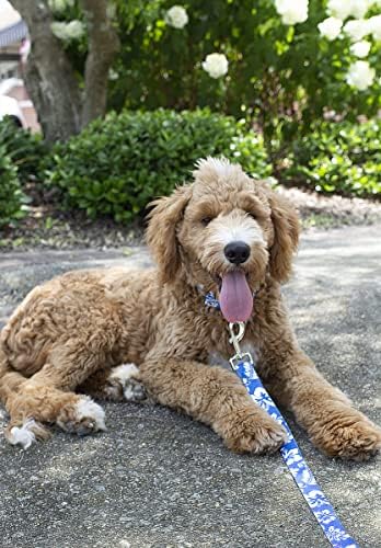 Country Brook Petz - Royal Blue Hawaiian Everyday Dog Leash - Summer Breeze Collection Featuring Sunny Designs (4 Foot, 5/8 Inch Wide)