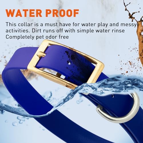 Viper Biothane Heavy Duty Waterproof Dog Collar Strong Coated Nylon Webbing w/Solid Brass Hardware Odor-Proof Easy to Clean High Performance Fits Small Medium or Large Dogs, Blueberry Royal