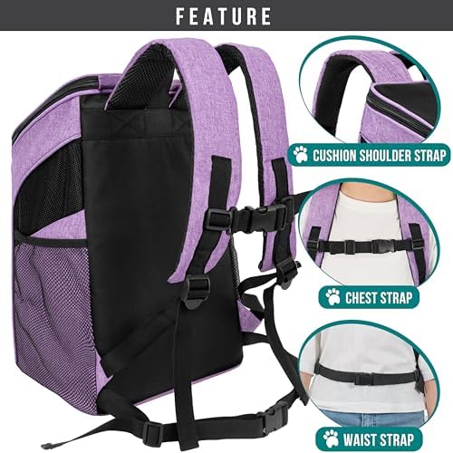PetAmi Cat Backpack Carrier for Small Dogs and Large Cats, Airline Approved