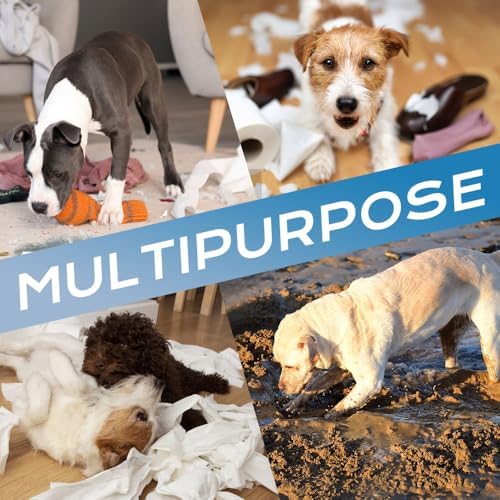 Automatic Dog Paw Cleaner 2025 New Dog Paw Cleaner Cup, Dog Paw Cleaner with USB Rechargeable, Paw Cleaner for Small Medium Large Breed Dogs Cats/Dogs (Two Stalls-Blue B)