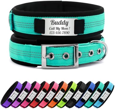 Personalized Nylon Dog Collar with Name Tag (Turquoise, XL)