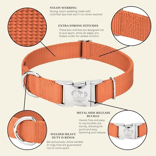 Country Brook Petz - Premium Nylon Dog Collar with Metal Buckle for Small Medium Large Breeds - 30+ Colors (Medium, 3/4 Inch, Coral)