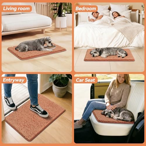 Bcoimo Super Absorbent Dog Door Mat, 30"*20" Anti Slip Mat for Muddy Paws