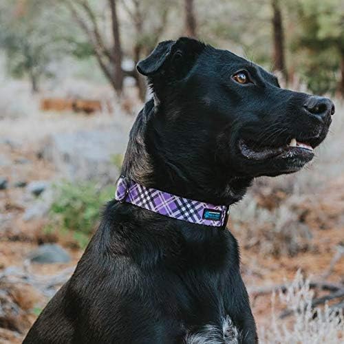 Max and Neo Plaid Pattern NEO Dog Collar - We Donate a Collar to a Dog Rescue for Every Collar Sold (Purple, Large)