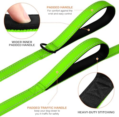 Joytale Dog Leash for Large Dogs that Pull, Double Handle, 5FT, Green